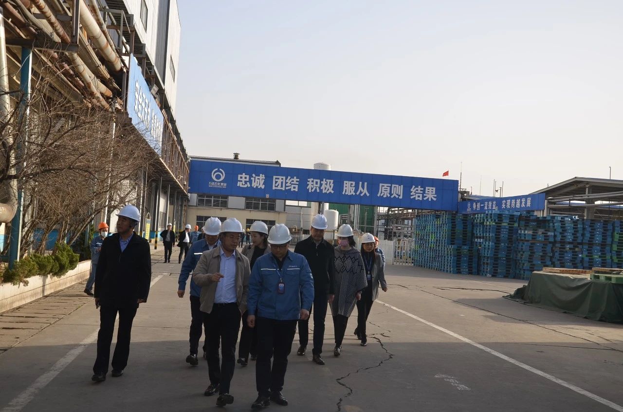 99499威尼斯(中国)有限公司首页